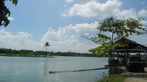 danau situ cipule karawang